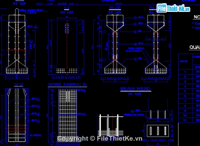 bản dầm,dầm lớn,cad dầm